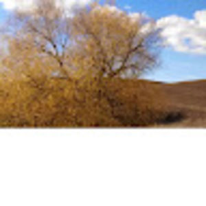 Meet your Posher, Dianne